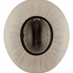 Bailey Hats Riding & Roping | Alameda Bangora Ivory/Brown