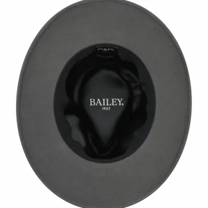 Bailey Hats Wide Brim | Ammon