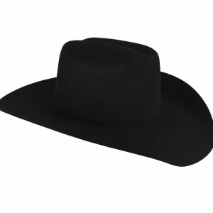 Bailey Hats Fur Felt | Courtright 7X