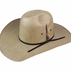 Bailey Hats Bull | Dirk 10X Taupe