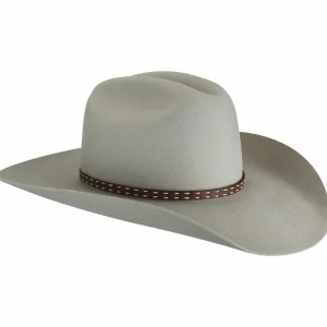 Bailey Hats Wool Felt | Easton 2X Silver Grey