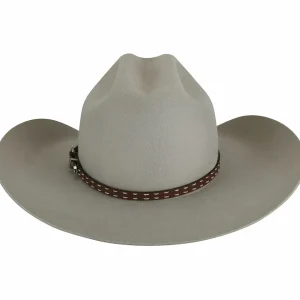 Bailey Hats Rodeo | Easton 2X Silver Grey