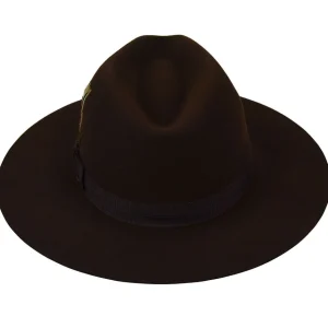 Bailey Hats Wide Brim | Girvin