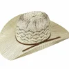 Bailey Hats Straw | Gotebo Ivory/Brown