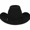 Bailey Hats Riding & Roping | Hastings 4X