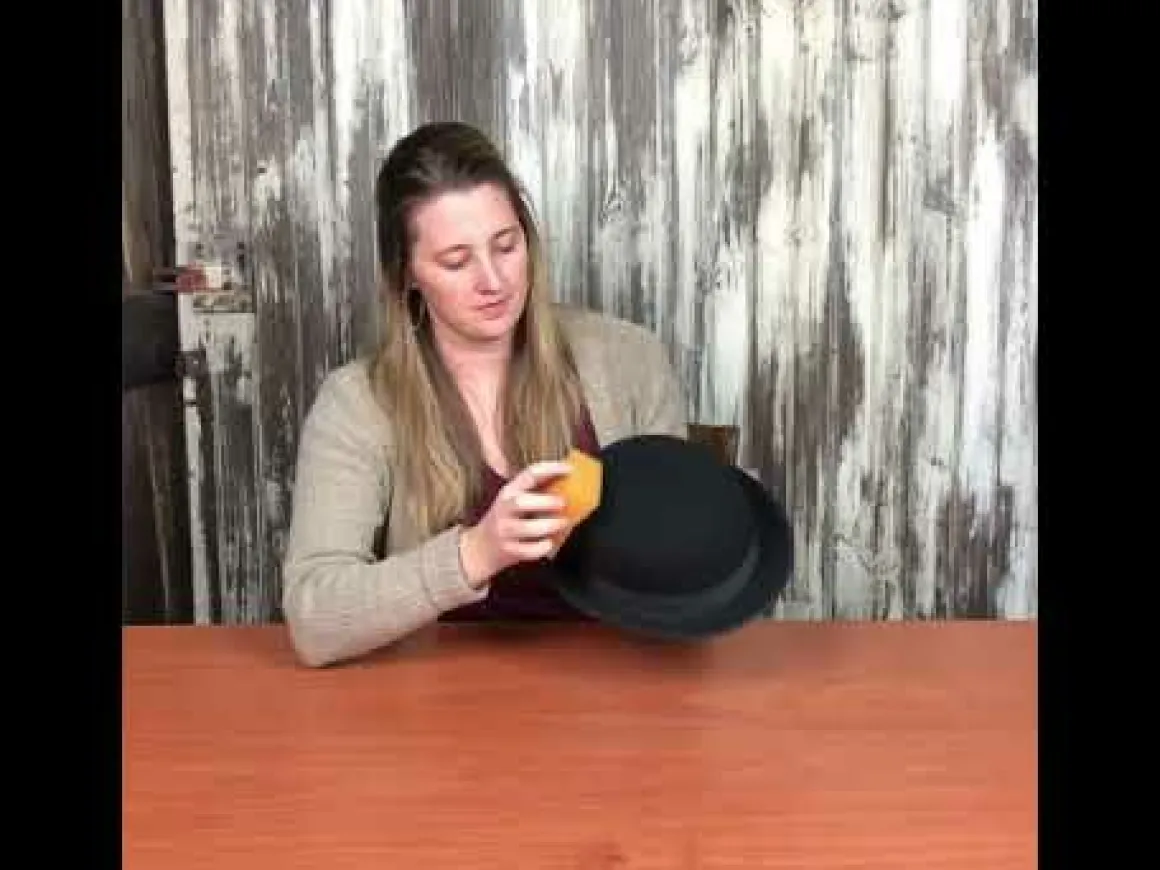 hat_cleaner_sponge_3.webp Bailey Hats Hat Care & Accessories | Hat Cleaner Sponge Misc