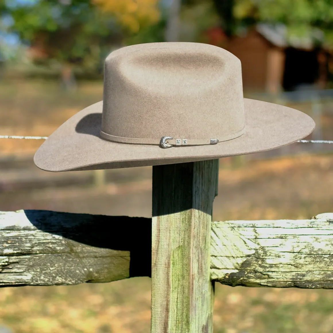 limited_edition__reign_13.webp Bailey Hats Exclusives | Limited Edition - Reign Natural