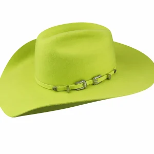 Bailey Hats Wool Felt | Renegade® Punchy