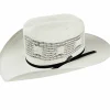 Bailey Hats Straw | Usa Desert Breeze Ivory