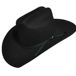 Bailey Hats Wool Felt | Youth Colt
